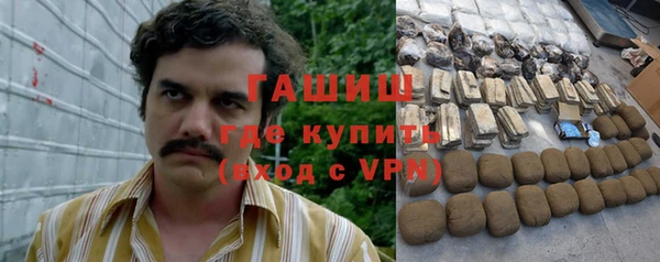 шишки Алзамай